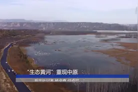“生态黄河”重现中原视频封面