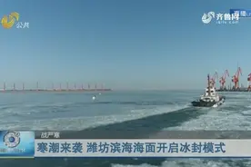 壮观！低温+大风，潍坊滨海海面开启冰封模式，海冰绵延十几海里视频封面