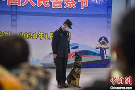 广西铁警举办警营开放日 警犬现场“搜爆”成焦点图片