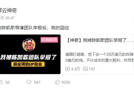 馒头血案后陈凯歌再诉UP主：专家称平台判定侵权与否有难度图片