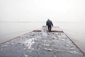 毛里湖畔，感怀八百里洞庭图片