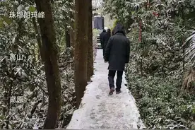 重庆中心城区陆续传“雪讯”！圣灯山、南山、玉峰山都飘雪了图片