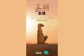 动物们走过最远的路，是BBC制片人的套路图片