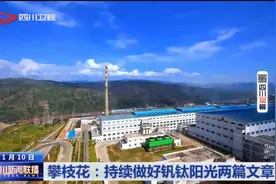 四川新闻联播丨攀枝花：持续做好钒钛阳光两篇文章图片
