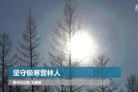 坚守极寒营林人视频封面