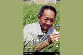 一条消息未发，粉丝已破千万图片