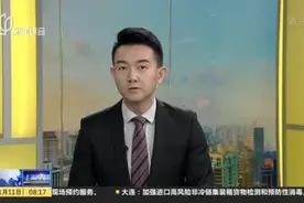 支持乡村振兴  上海探索“点状供地”模式视频封面
