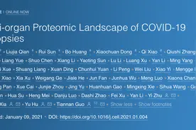 中国首绘新冠逝者蛋白质分子病理全景含肝、睾丸等多器官图片