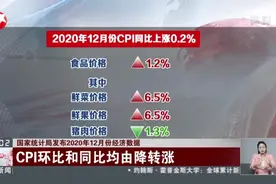 国家统计局发布2020年12月份经济数据视频封面