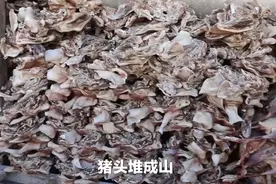 江苏女子家中挂4000个猪头，画面太刺激了！网友：流下羡慕的口水图片