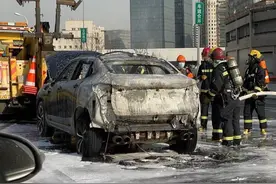 长城WEY插电混动SUV行驶中起火烧剩车架，车主：提车不足10天图片