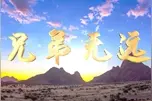 兄弟无远视频封面