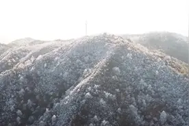【“飞阅”中国】福建宁化：雾凇美景 分外妖娆视频封面