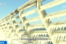 青岛海浪被冻住了！网友：来的时候好好的，结果回不去了图片