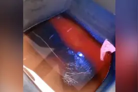 红旗4S店回应“新车刚买十天出现漏液”：暖风水箱出现问题视频封面