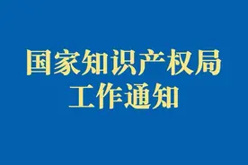 国家知识产权局办公室关于印发《专利、商标代理行业违法违规行为协同治理办法》的通知图片