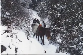 警察故事丨木里藏族自治县：“马背上的派出所”深受农牧民欢迎图片