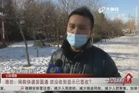 网购商品没收到，物流却显示已签收，工作人员：人手不够快递积压视频封面
