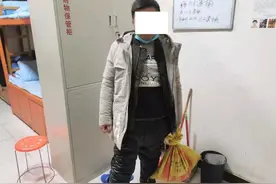 漯河一男子利用鹦鹉，捕猫卖钱图片