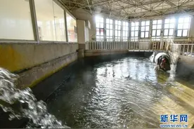 天津动物园：暖暖和和过寒冬图片