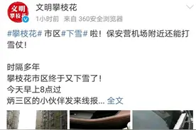 你说冷不冷？“盆地小三亚”攀枝花都下雪了图片