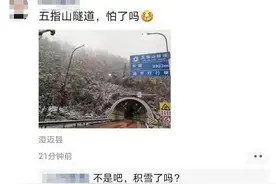 五指山下雪了？海南60年来最冷春节？你想知道的都在这里图片