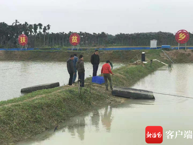持续低温 琼海农业部门下田为农户做防寒指导