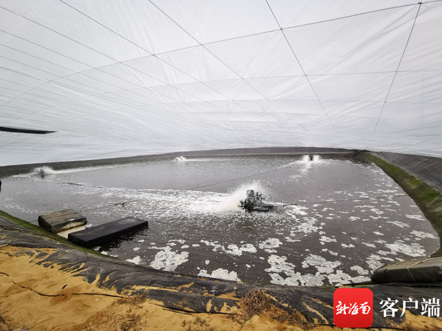 持续低温 琼海农业部门下田为农户做防寒指导