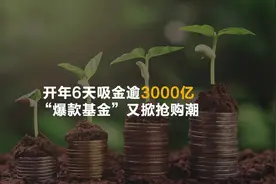 开年6天吸金逾3000亿 “爆款基金”又掀抢购潮视频封面
