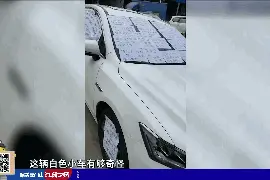 违停小车被贴满标语“牛皮癣”！真是哭笑不得……图片