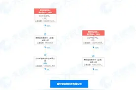 支付宝、微信支付的对手来了！首家国际巨头100%控股第三方支付机构诞生图片
