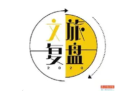 出境游停摆，从业者去哪了？图片