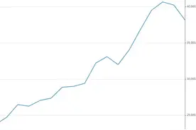 比特币的魔幻一年：从跌60%到暴涨8倍 矿工自称赌徒图片