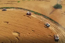 了不起的“十三五”：这就是“江淮粮仓”视频封面