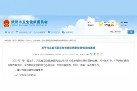 刚刚！武汉发布最新排查情况通报图片