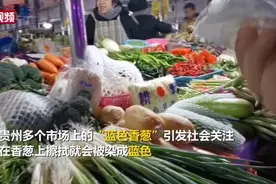 贵州市场现“蓝色香葱” 专家：系波尔多液残留物 危害风险较低视频封面