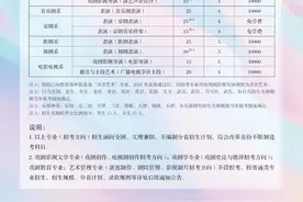 中戏发布2021年艺考简章 初试采取远程考试图片