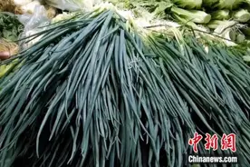 贵阳“蓝色香葱”是使用了波尔多液 危害风险极低图片