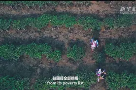 习近平时间|世界减贫奇迹视频封面