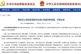 西安原副市长被双开！长期以曾用名示人，名校毕业回原籍蛰伏20年，将开发区建设当筹码图片