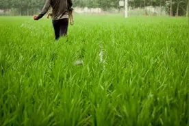 不同人群休息方式不同，总觉得累？是您休息方式没找对图片
