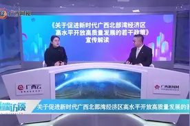 关于促进新时代广西北部湾经济区高水平开放高质量发展的若干政策视频封面