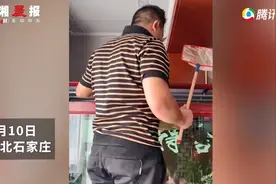 “不心疼”！因疫情石家庄市民杀自养金龙鱼做菜，网友：混的最差的龙鱼图片