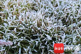 海南最低温降至零下，这些“冷”知识了解一下图片