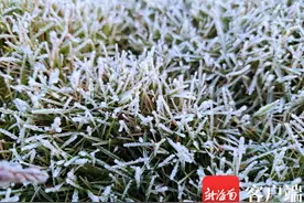 海南最低温降至零下，这些“冷”知识了解一下图片