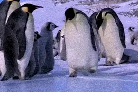 警惕！小伤口千万别不当回事，严重可致命！赶紧告诉家里人…图片