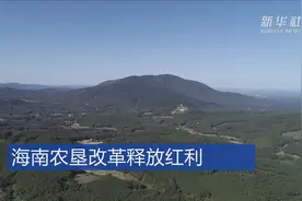 海南农垦改革释放红利视频封面