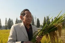抖音号“袁隆平中华拓荒人”已搜不到，抖音回应暂封禁视频封面