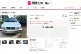 有人一块钱拍到一个公司！阿里拍卖盘点“年度十大”，小时新闻报道过的汗血宝马等上榜图片
