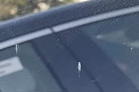 男子车顶玩“钢丝棉烟火”致车损上万元，一对情侣还曾因此引发山火图片